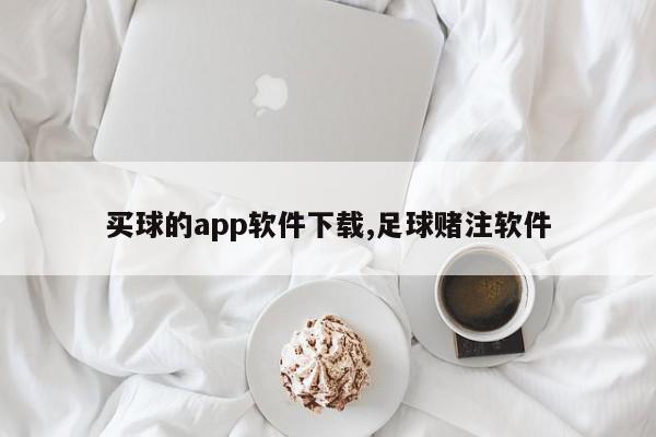 买球的app软件下载,足球赌注软件