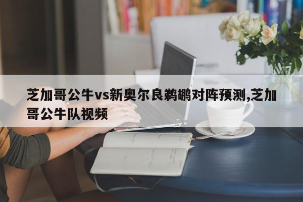 芝加哥公牛vs新奥尔良鹈鹕对阵预测,芝加哥公牛队视频