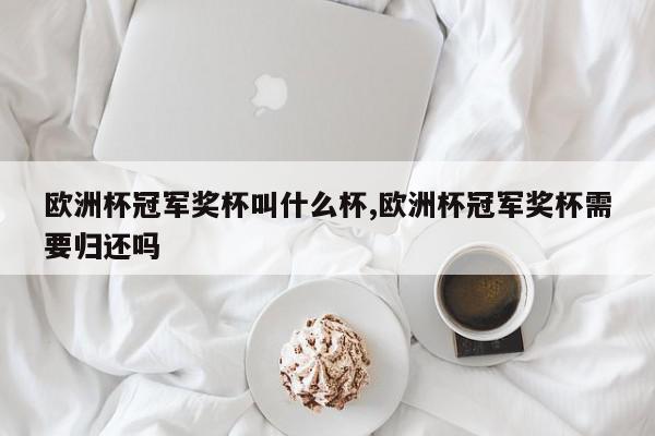 欧洲杯冠军奖杯叫什么杯,欧洲杯冠军奖杯需要归还吗