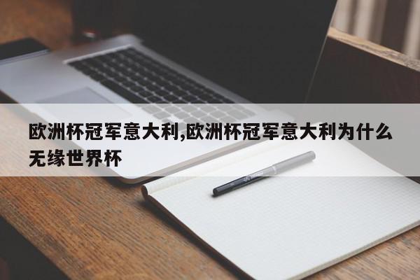 欧洲杯冠军意大利,欧洲杯冠军意大利为什么无缘世界杯