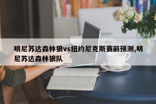 明尼苏达森林狼vs纽约尼克斯赛前预测,明尼苏达森林狼队