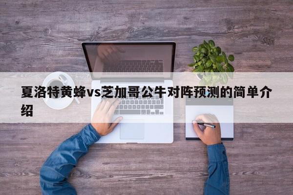 夏洛特黄蜂vs芝加哥公牛对阵预测的简单介绍